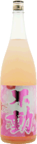 不動 純米生 初恋の季節 First Love R6BY 1800ml