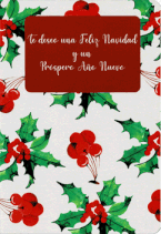 TE DESEO UNA FELIZ NAVIDAD Y PROSPERO AÑO NUEVO