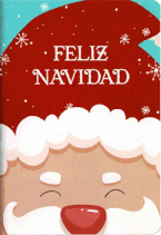 FELIZ NAVIDAD SANTA