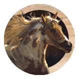 Sous-verre Paint Horse