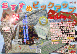 【お着楽舎厳選】正絹半幅帯コレクション