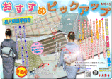 【お着楽舎限定】ＰＥ長尺両面半幅帯G2（夏・単衣向き）