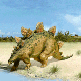 Stegosaurus (Maxi)