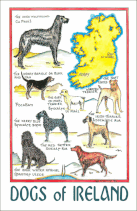 DOGS of IRELAND