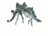 Stegosaurus