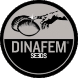 AUTO INDUSTRIAL PLANT CBD * DINAFEM SEEDS FEM