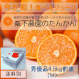 たんかん（秀優品M 4.5Kg）
