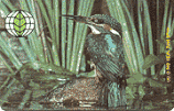 D-O-0902-05-1994 - Dt. Umwelthilfe - Eisvogel (Puzzle 1/2)