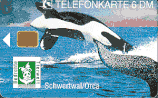 D-O-0708-04-1994 - Bedrohte Tierwelt - Schwertwahl/Orca