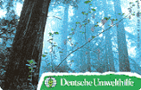 D-O-0614-B-12-1993 - Deutsche Umwelthilfe - Wald