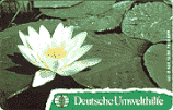 D-O-0604-12-1993 - Deutsche Umwelthilfe - Seerose (Puzzle 2/2)