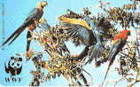 D-O-0359-B-11-1992 - WWF-Papageien