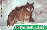 D-O-064-B-01-1994 - Deutsche Umwelthilfe - Wolf