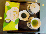 新茶　嬉野茶【ネコポス対応】