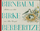Birnbaum Birke Berberitze