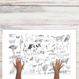 Knutselmat Dieren