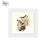 Arty's - Birds (small)