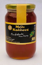 Pinienhonig (460gr)