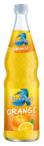 Eisvogel Orange