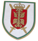 Insigne Air Force General Staff Belgian Air Force armée belge ABL