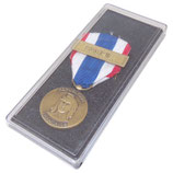 Médaille de la protection militaire du territoire agrafe Harpie en boite armée française