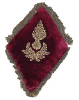 Losange de bras modèle 45 officier CTA administration Service de Santé des Armées armée française