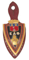 Insigne pucelle EAG Ecole d’Application du Génie (J BALME Saumur H250) armée française