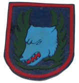 Insigne 13th Fighter Wing/Koksijde Air Force Base Belgian Air Force armée belge ABL