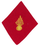 Losange de bras modèle 45 centre d'instruction/école du Service de Santé des Armées armée française