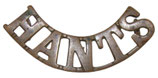 Shoulder title Hants Hampshire Regiment GB WW1