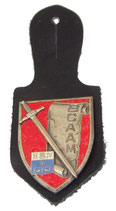 Insigne pucelle BCAAM Bureau Central Archives Administration Militaires (Drago Paris G2377) armée française