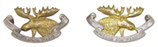 Paire de collar badges New Brunswick Rangers Canada WW2