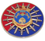 Plaque RSMA Régiment du Service Militaire Adapté de la Guyane armée française