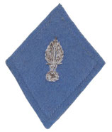 Losange de bras modèle 45 Intendance Administration Commissariat Armée de Terre CAT cadre sous-officier armée française