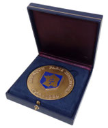 Médaille 2ème DB Division Blindée Alençon Paris Strasbourg Cinquantenaire de la libération 1944-1994 en boite armée française