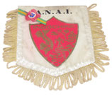 Fanion ANAI Indochine Association Nationale des Anciens d'Indochine et du Souvenir Indochinois armée française