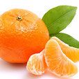 Mandarine rot BIO