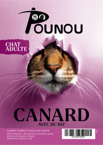 Chat - Canard avec du Riz
