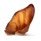 Oreille de Porc Classique et XL