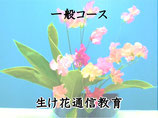 生け花通信教育講座　一般コース　　　　　＜特典付＞