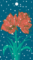 4 Geschenkanhänger Amaryllis