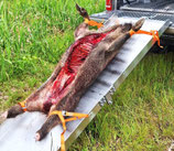 Die DREIER-Wild-Aufbrech- und Laderampe Grösse S