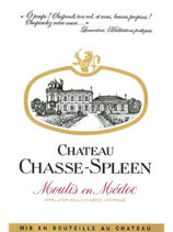 2011 Château Chasse-Spleen - 0,75l