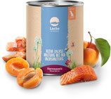 Lachs mit Aprikose