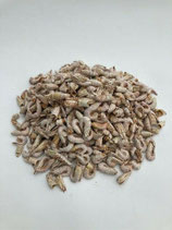 Nordseekrabben 50g