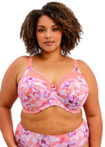 Kayla in Coral Petal