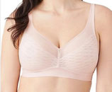 Elavated Allure Rose Dust