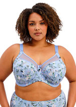 Kayla in Cornflower