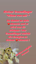 Traumfänger Träum von mir