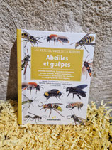 Abeilles et Guêpes